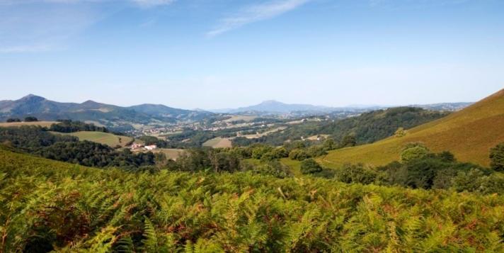 Le Domaine Du Levant Ξενοδοχείο Cambo-les-Bains Εξωτερικό φωτογραφία